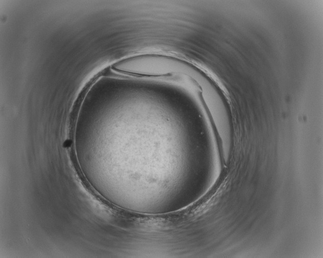 X0000083610991200702260923