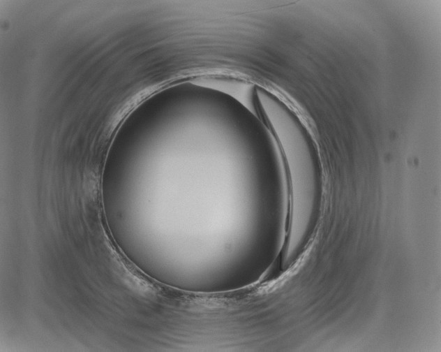 X0000083610993200702260923