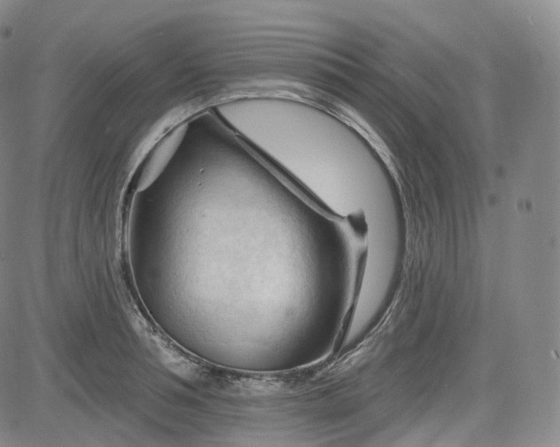 X0000083610994200702260923