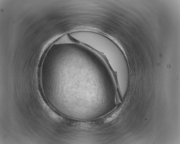 X0000083610995200702260923