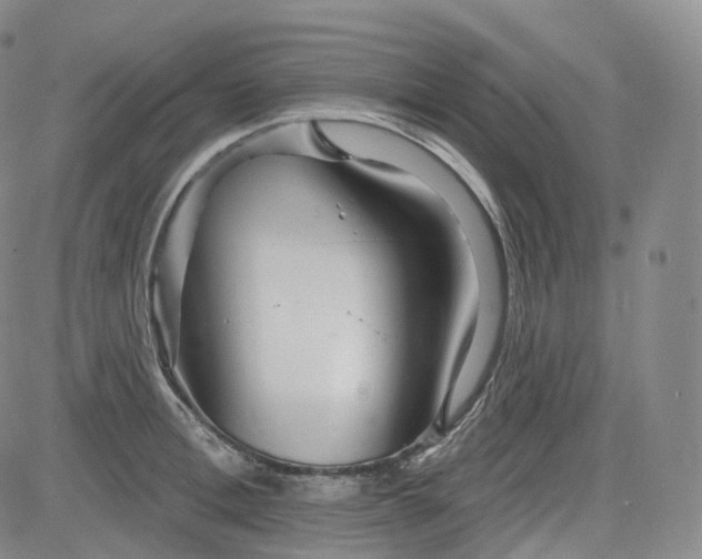 X0000083610996200702260923