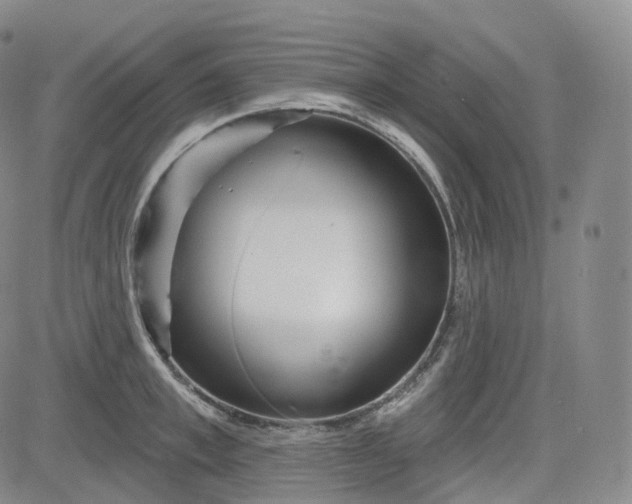 X0000083610997200702260923