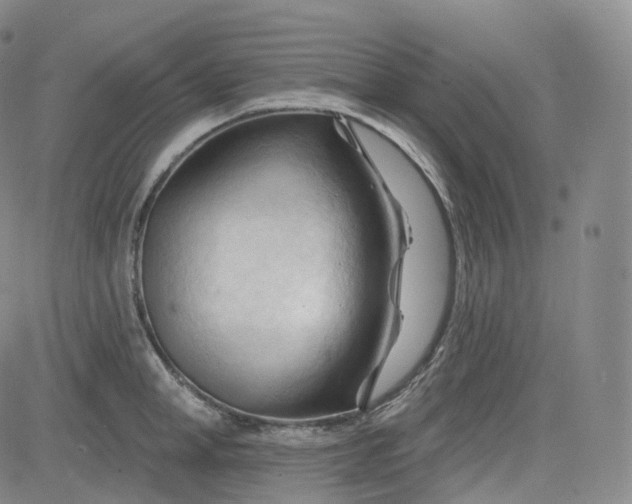 X0000083610998200702260923