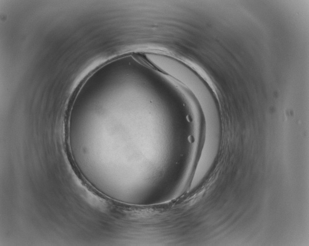 X0000083610999200702260923