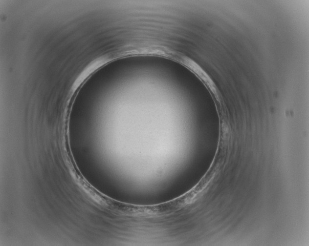 X0000083611002200702260923