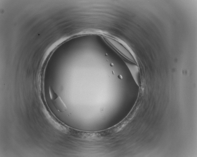 X0000083611003200702260923