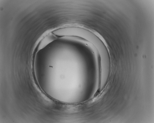 X0000083611005200702260923