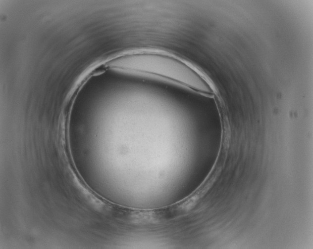 X0000083611006200702260923