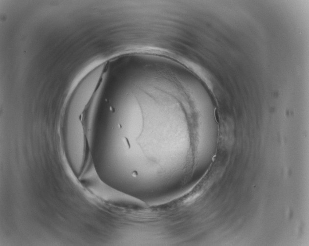 X0000083611007200702260923