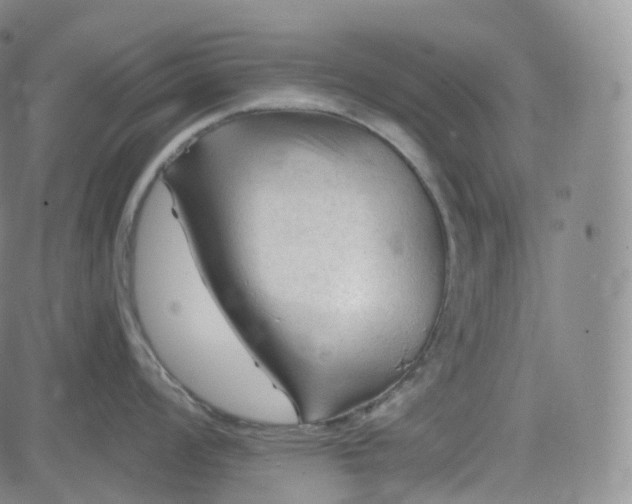 X0000083611008200702260923