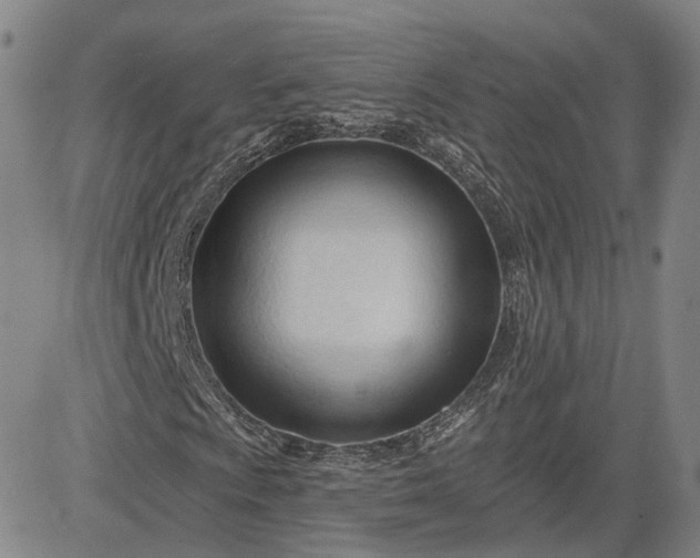 X0000083611009200702260922