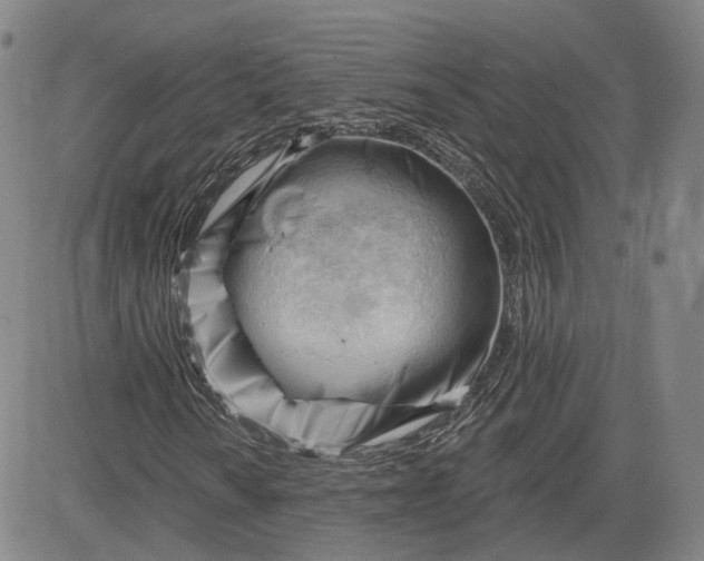 X0000083611010200702260922