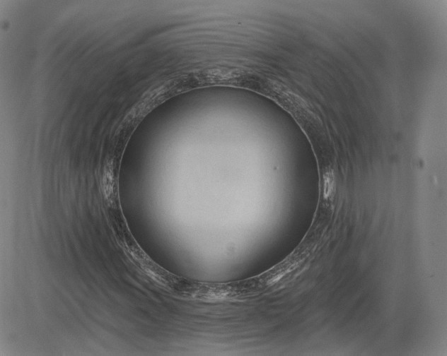 X0000083611011200702260922