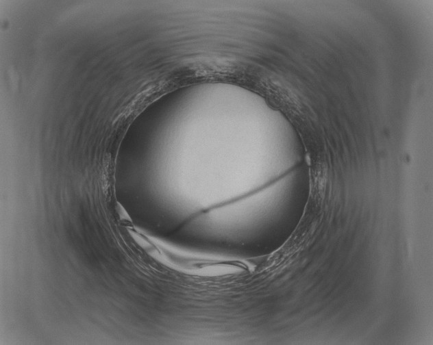 X0000083611012200702260922