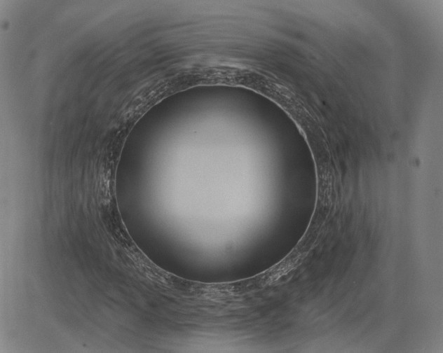 X0000083611013200702260922