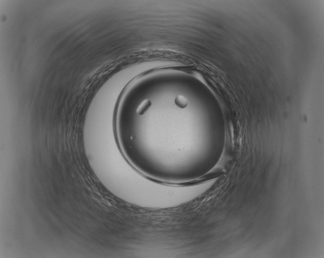 X0000083611014200702260922