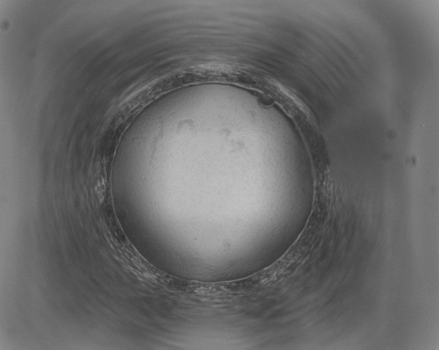 X0000083611015200702260922