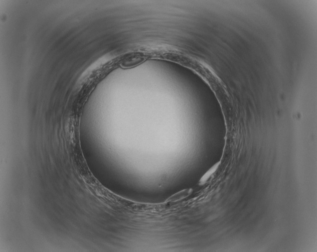 X0000083611016200702260922