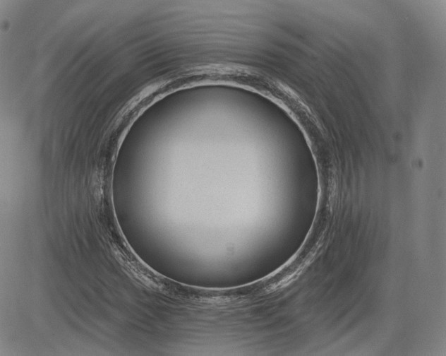 X0000083611017200702260922