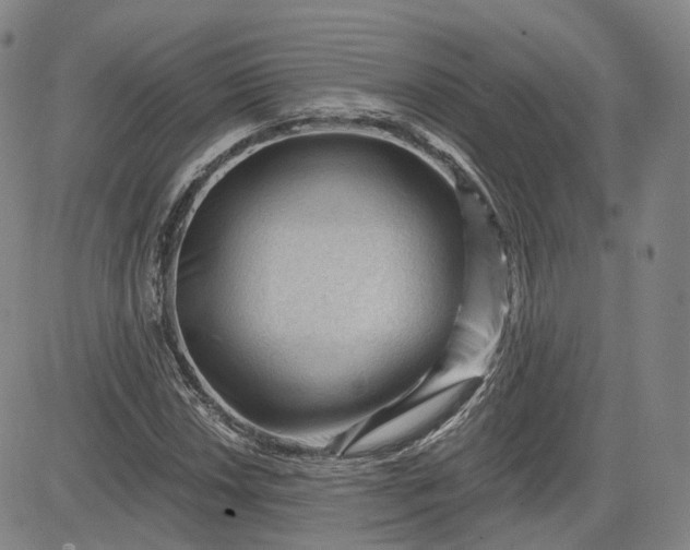 X0000083611018200702260922