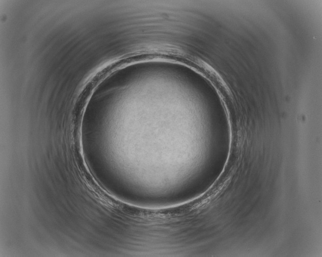 X0000083611019200702260922