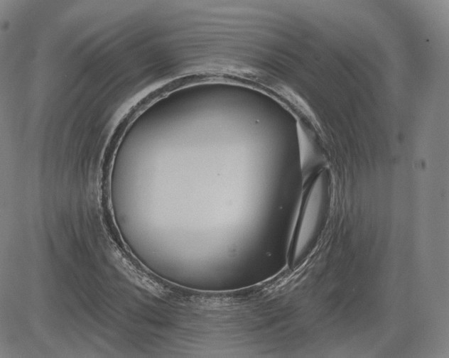 X0000083611020200702260922