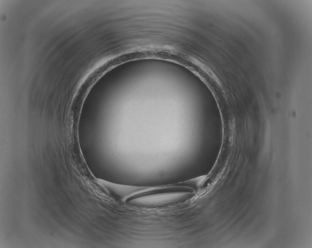 X0000083611021200702260922