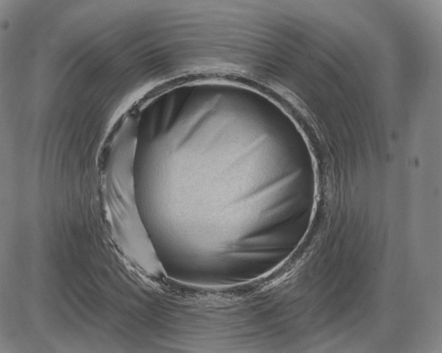 X0000083611022200702260922