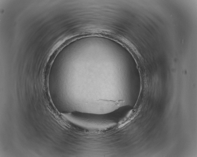 X0000083611023200702260922