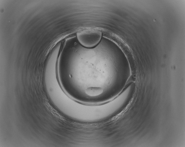 X0000083611025200702260922