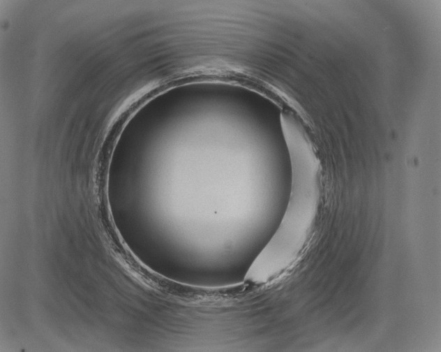 X0000083611026200702260922