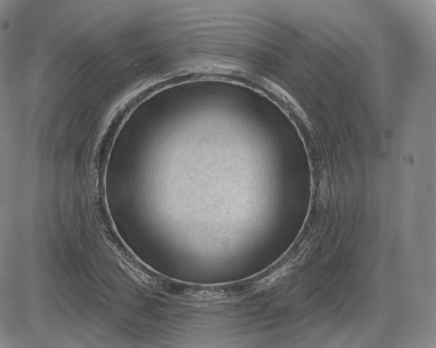 X0000083611027200702260922