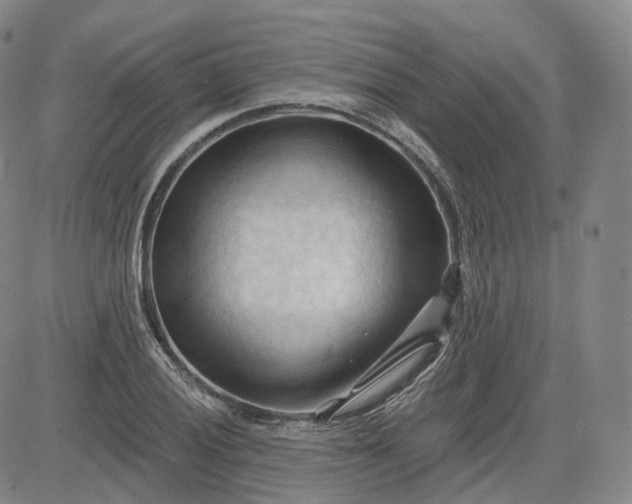 X0000083611028200702260922