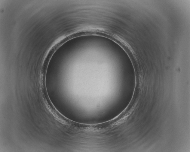 X0000083611029200702260922