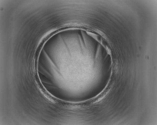 X0000083611030200702260922