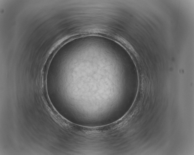 X0000083611031200702260922