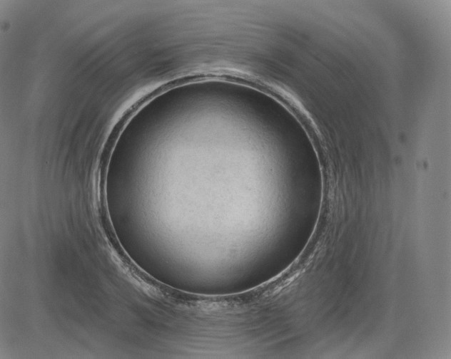 X0000083611032200702260922