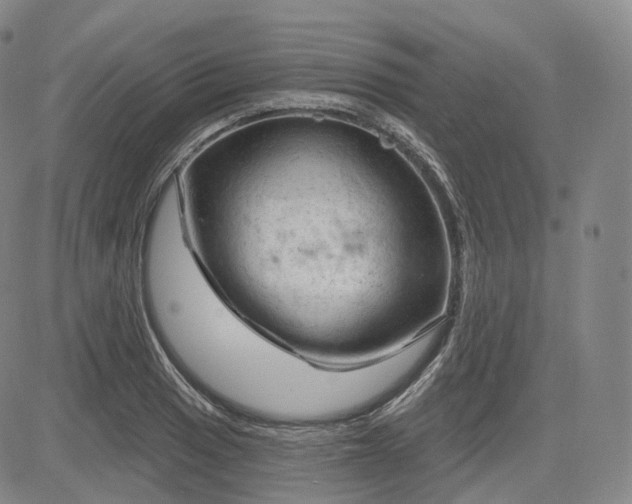 X0000083611033200702260922