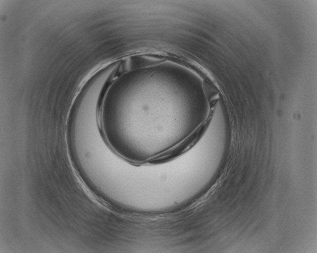 X0000083611034200702260922