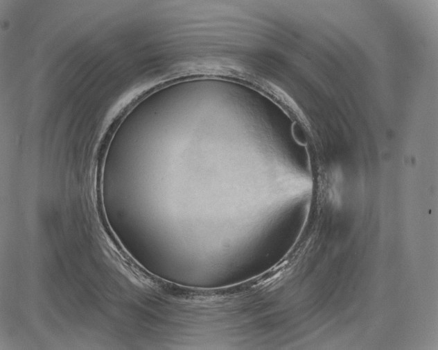 X0000083611035200702260923