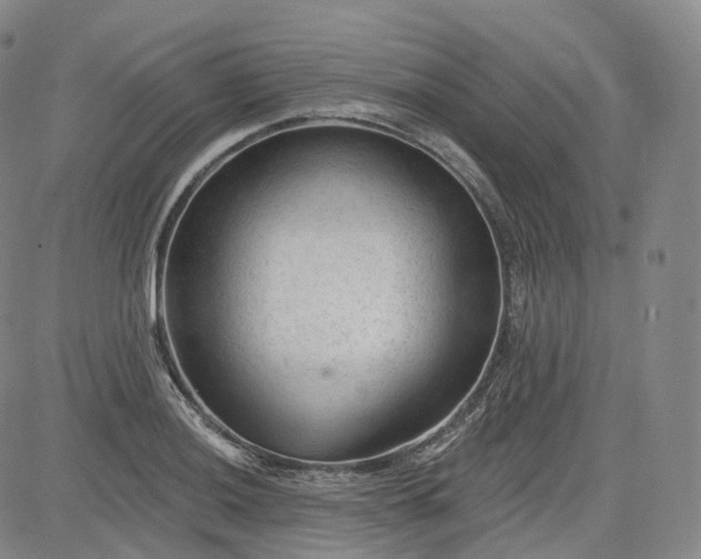 X0000083611036200702260923