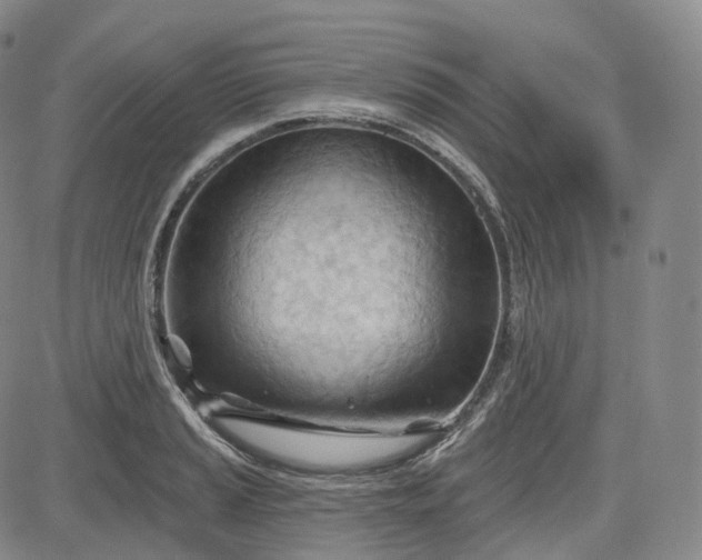 X0000083611037200702260923