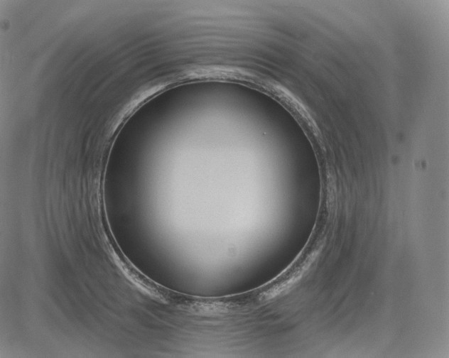 X0000083611041200702260923