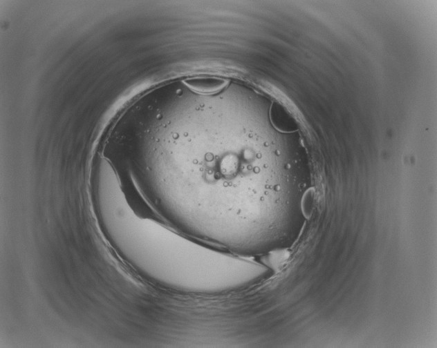 X0000083611043200702260923