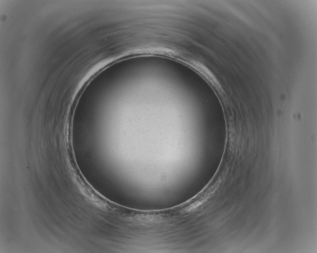 X0000083611044200702260923