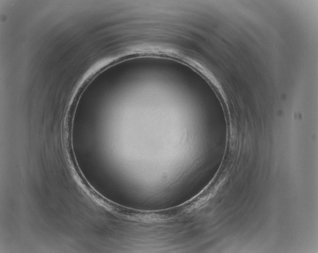 X0000083611045200702260923