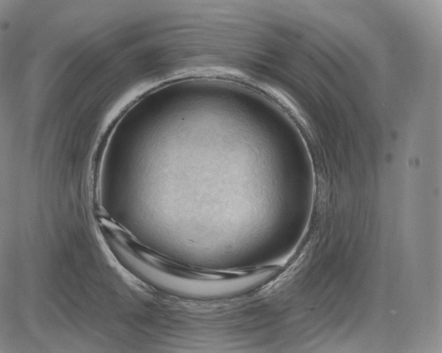 X0000083611046200702260923