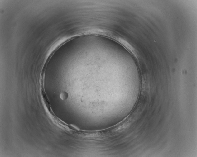 X0000083611047200702260923