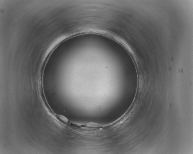 X0000083611048200702260923