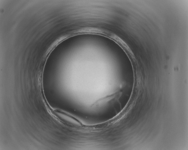 X0000083611049200702260923